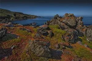 Images Dated 2nd December 2013: Seal Rocks, King Island, Bass Strait, Tasmania, Australia
