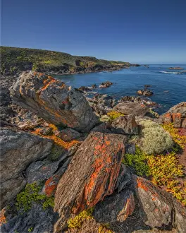 Seal Rocks, King Island, Bass Strait, Tasmania, Australia
