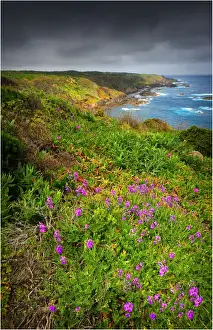 Images Dated 2010 December: Seal Rocks, King Island, Bass Strait, Tasmania, Australia