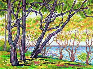 Judi Parkinson Prints: Seaside View through Large and Small Trees with Dappled Sunlight Acrylic Painting