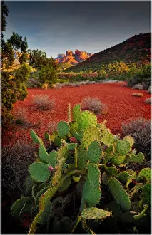 Eco Tourism Prints: A Sedona view, Arizona, Western united States of America