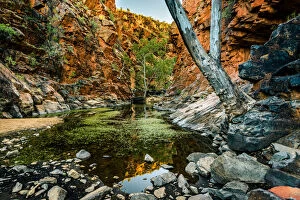 Images Dated 25th August 2016: Serpentine Gorge at West Macdonnell Ranges