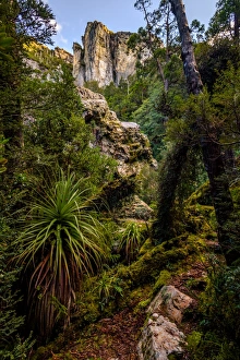 Sharlands Peak in Track to Frenchmans Cap, Franklin-Gordon Wild Rivers National Park, Tasmania Sharlands Peak in Track to Frenchmans Cap, Franklin-Gordon Wild Rivers National Park, Tasmania