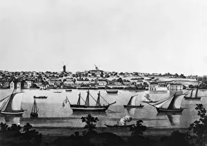 Looking Prints: Ships On Sydney Cove circa 1850