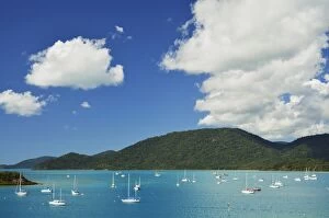 Images Dated 20th May 2014: Shutehaven Harbour, Whitsunday Islands