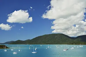 Getting Away From It All Prints: Shutehaven Harbour, Whitsunday Islands