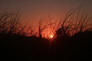 silhouette Sunset