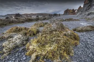 Images Dated 4th March 2014: Snaefellsjokull coastline, Iceland