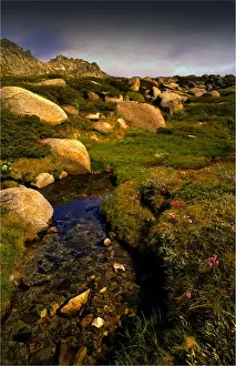European Alps Prints: A snow melt pond, alpine New South Wales, Australia