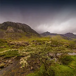 Wales Prints: Snowdonia National park, northern Wales, United Kingdom