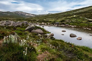 Images Dated 3rd January 2019: Snowy River, Kosciuszko National Park