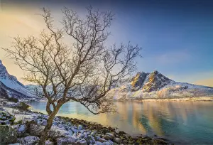 Norwegian Culture Prints: A snowy scene at Grotfjord in the winter, arctic circle of Norway