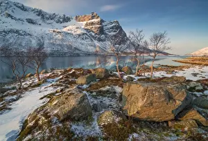 Arctic Prints: A snowy scene at Grotfjord in the winter, arctic circle of Norway
