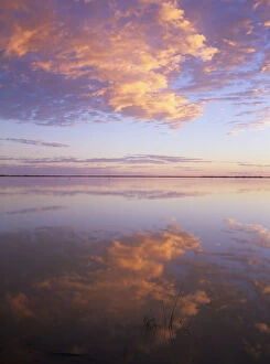 Images Dated 2007 March: South Australia, Coongie Lakes National Park, flooded lakes at sunrise
