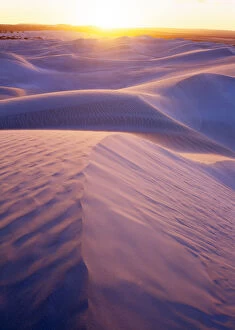 Images Dated 12th March 2007: South Australia, Nullarbor National Park, sand dunes at sunset
