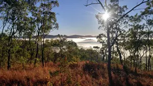 Images Dated 19th August 2017: South Palmer Mist