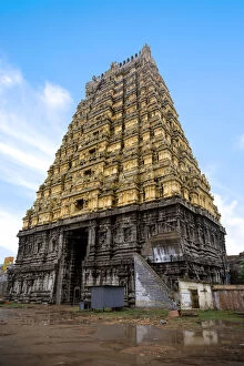 Images Dated 1st December 2017: The South Tower Entrance Shrine of Ekambareswarar Temple, Kanchipuram, Tamil Nadu, South India