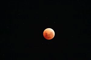 Images Dated 2018 January: Spectacular Super Blue Blood Moon Over Perth