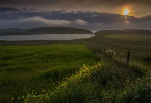 Images Dated 12th July 2015: Spiggie, Shetland Islands, Scotland