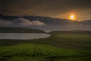 Images Dated 12th July 2015: Spiggie, Shetland Islands, Scotland