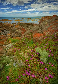 Spring at British Admiral Beach