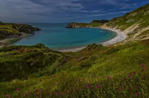 England Prints: Spring at Lulworth Cove