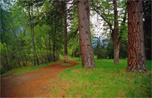 Horizontal View Horizontal Prints: Spring-time in the Yosemite National Park, California, Western United States of America