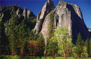 Horizontal View Horizontal Prints: Spring-time in the Yosemite National Park, California, Western United States of America