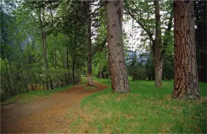 Horizontal View Horizontal Prints: Spring-time in the Yosemite National Park, California, southern United States of America