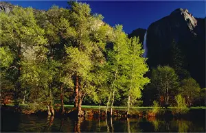 Spring-time in the Yosemite National Park, California, southern United States of America