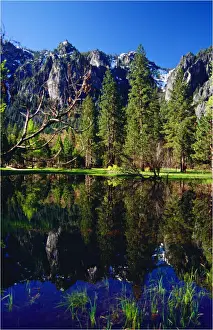 Images Dated 20th August 2013: Spring-time in the Yosemite National Park, California, southern United States of America