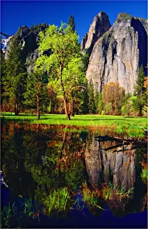 Images Dated 13th December 2013: Spring-time in the Yosemite National Park, California, southern United States of America