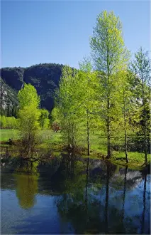 Images Dated 12th December 2013: Spring-time in the Yosemite National Park, California, southern United States of America