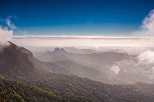 Images Dated 18th May 2016: Springbrook national park, Gold Coast