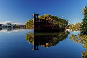 Ship Wrecks Around Australia Collection: SS Ayrfield - Floating Forest, Homebush Bay