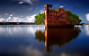 Ship Wrecks Around Australia Collection: SS Ayrfield Shipwreck Forest