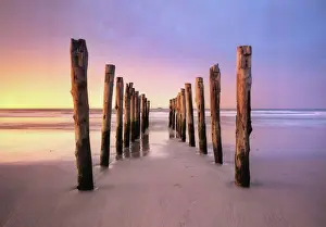 Wood Material Prints: St Clair Beach, Dunedin, South Island, New Zealand