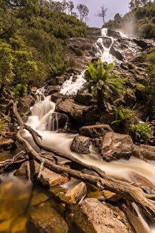 Images Dated 8th December 2016: St Columba Falls, Tasmania, Australia