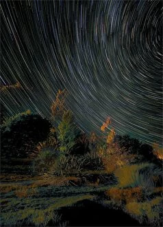 Images Dated 29th April 2014: Star-trails at Te-Anau, South Island, New Zealand
