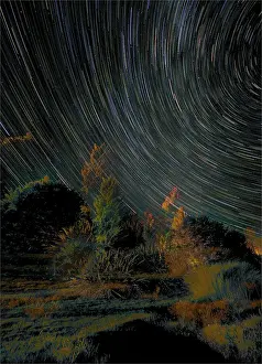 Te Anau Prints: Star-trails at Te-Anau, South Island, New Zealand