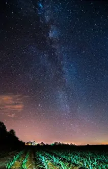 Stargazing