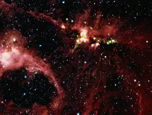 Stars surrounded by gas and dust in stellar nursery DR21 (infrared)