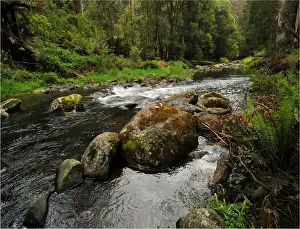 Stephensons creek, Otway Ranges, Victoria, Australia