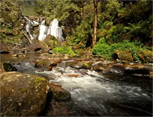 Stephensons creek, Otway Ranges, Victoria, Australia