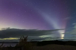 Aurora Borealis Collection: STEVE Aurora phenomenon