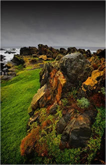 Images Dated 4th September 2010: Stokes point, Southern end of King Island, Bass Strait, Tasmania, Australia
