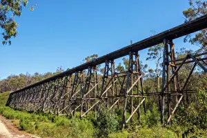 The Stony Creek Trestle Bridge near Nowa Nowa Victoria, Autralia