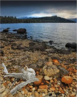 Images Dated 10th April 2009: Storm clouds at Dawn at Lake St. Clair, central Tasmania