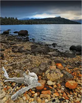 Lakeshore Prints: Storm clouds at Dawn at Lake St. Clair, central Tasmania