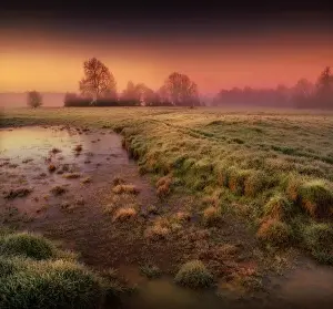 English Landscape And Panorama Views By Southern Lightscapes Prints: Stour river on a spring morning, Dorset, England, UK